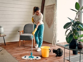 Maid Services